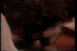 'Deep Inside Hyapatia Lee' screenshot nº 48