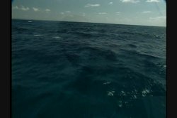 Captura de 'Caribbean Undercover' nº 35