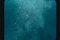 Captura de 'Caribbean Undercover' nº 77