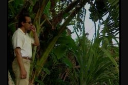 Captura de 'Caribbean Undercover' nº 105