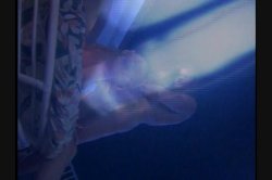 Captura de 'Caribbean Undercover' nº 135
