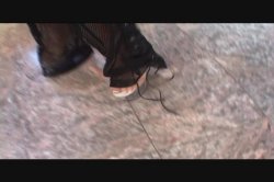 Captura de 'Afro Invasian 3' nº 111