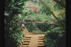 'Pink Lagoon' screenshot nº 37