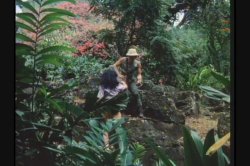 'Pink Lagoon' screenshot nº 38
