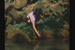 'Pink Lagoon' screenshot nº 40