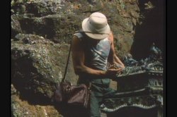 'Pink Lagoon' screenshot nº 41