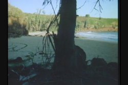 'Pink Lagoon' screenshot nº 66