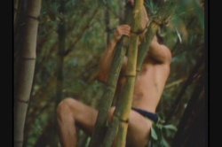 'Pink Lagoon' screenshot nº 86