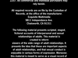 'Big Tit Brotha Lovers 6' screenshot nº 1