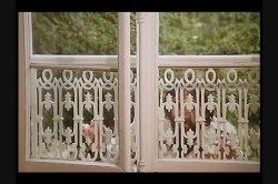 Captura de 'Sex Nurses' nº 46