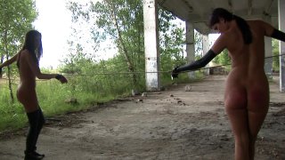Flaming Asses - Escena2 - 6