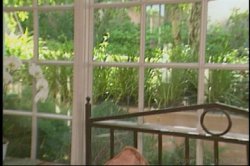'Peaches' screenshot nº 139