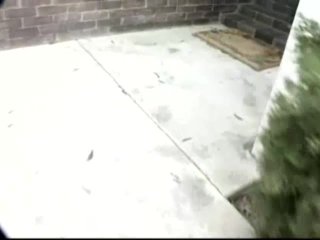 The Adventures Of Ass-Hole Andy Armageddon #3 - Scena3 - 6