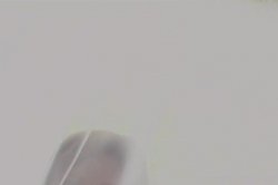 'Anal Acrobats #3' screenshot nº 121