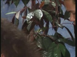'Sarah - The Young One #1' screenshot nº 102