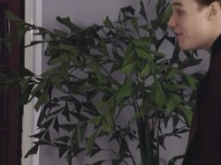 'Sarah - The Young One #3' screenshot nº 76