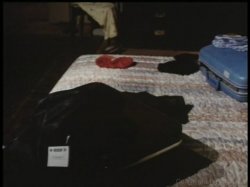 'Climax' screenshot nº 21