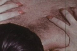 Captura de 'Celebrity Pornstars' nº 101