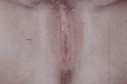 Captura de 'Celebrity Pornstars' nº 107