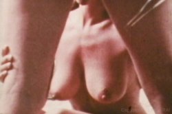 Captura de 'Celebrity Pornstars' nº 122
