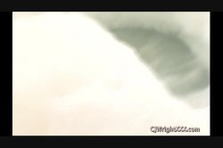 Captura de 'Karla Lane Loves Black Men' nº 91