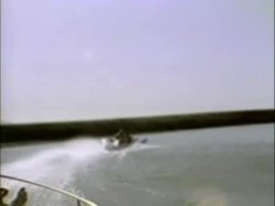 'Sweet Summer' screenshot nº 69