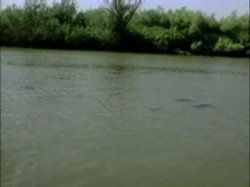 'Sweet Summer' screenshot nº 70