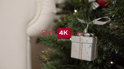 Captura de 'Happy anal Holidays, Dear!' nº 1
