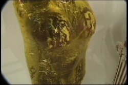 Captura de 'Legman's Lassies 8' nº 10