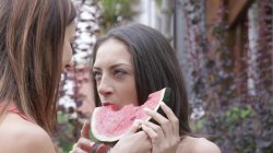 Captura de 'Art Of Kissing, The' nº 102