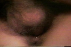 'Cornholed Hussies' screenshot nº 11