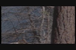 'Slightly Used' screenshot nº 67