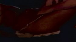 Captura de 'I Wanna Be Teased' nº 64
