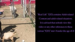 Captura de 'It's A Condom Hunt! Real Life XXX Episode 12: The Colorado Collab House' nº 1