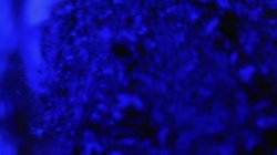 'Blacked Raw V34' screenshot nº 111