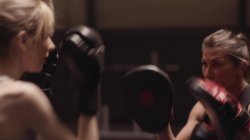 Captura de 'Lesbian Strap-On Bosses Vol. 4' nº 1