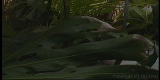 That&#39;s My Ass #2 - Scene5 - 1