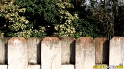 'Juicy Licks Vol. 16' screenshot nº 28