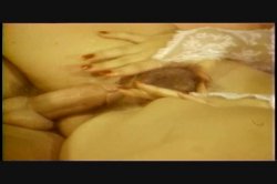 Captura de 'Pleasure Productions Vol. 11' nº 70
