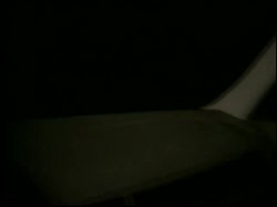 Captura de 'Mad Cow Sex' nº 21