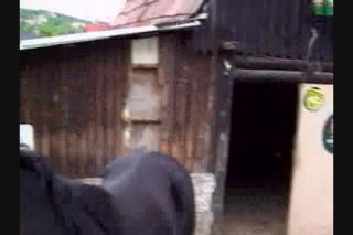 I Prefer It In My Ass - Escena9 - 1