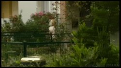 Captura de 'Sex & Internet (French)' nº 35