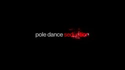 Captura de 'Pole Dance Seduction' nº 12