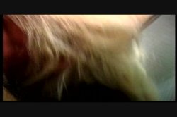 Captura de 'Seymore Butts' Blow Me!' nº 48