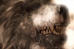 Captura de 'Governess' nº 63