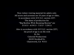 Captura de 'Big Boobies And Booming Booties' nº 126