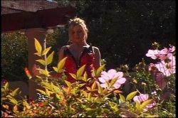 Captura de 'Decadent Divas 15' nº 4