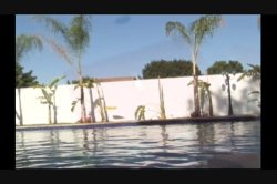 'Ebony Anal Beauties' screenshot nº 3