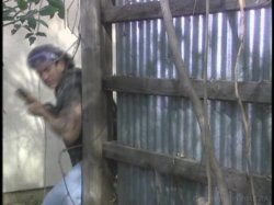'Whore Hunters' screenshot nº 5