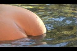 'Barely Legal Girlz Rule' screenshot nº 41